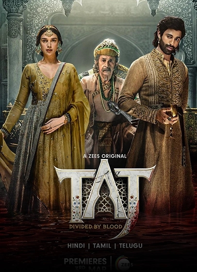 taj - divided by blood poster